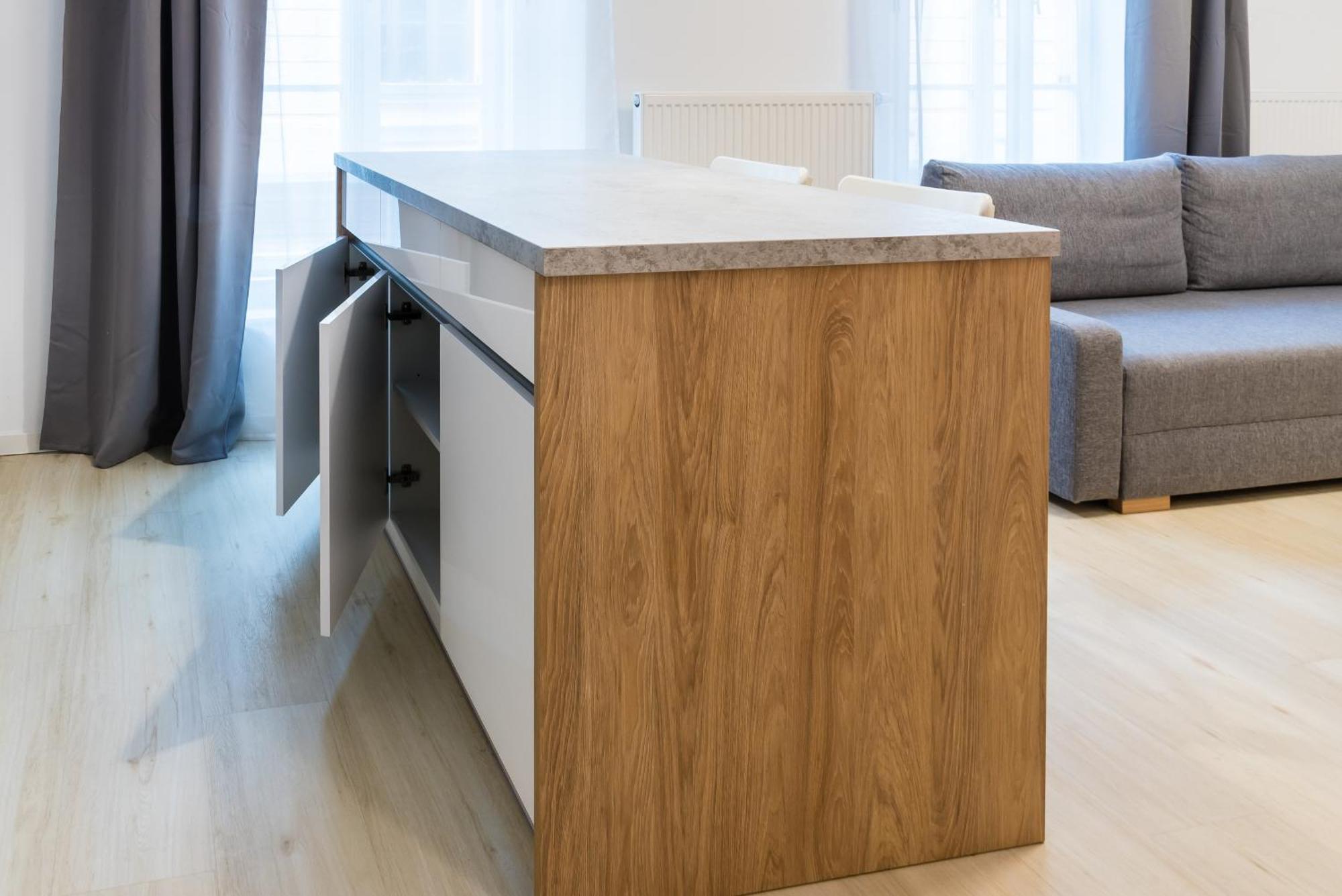 City Castle Apartments Free Parking ブラチスラヴァ 部屋 写真