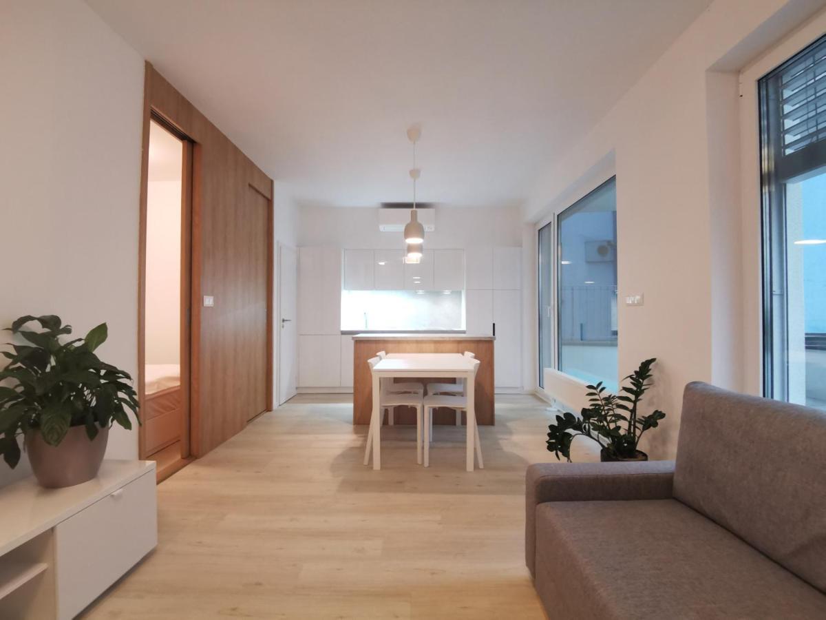 City Castle Apartments Free Parking ブラチスラヴァ エクステリア 写真